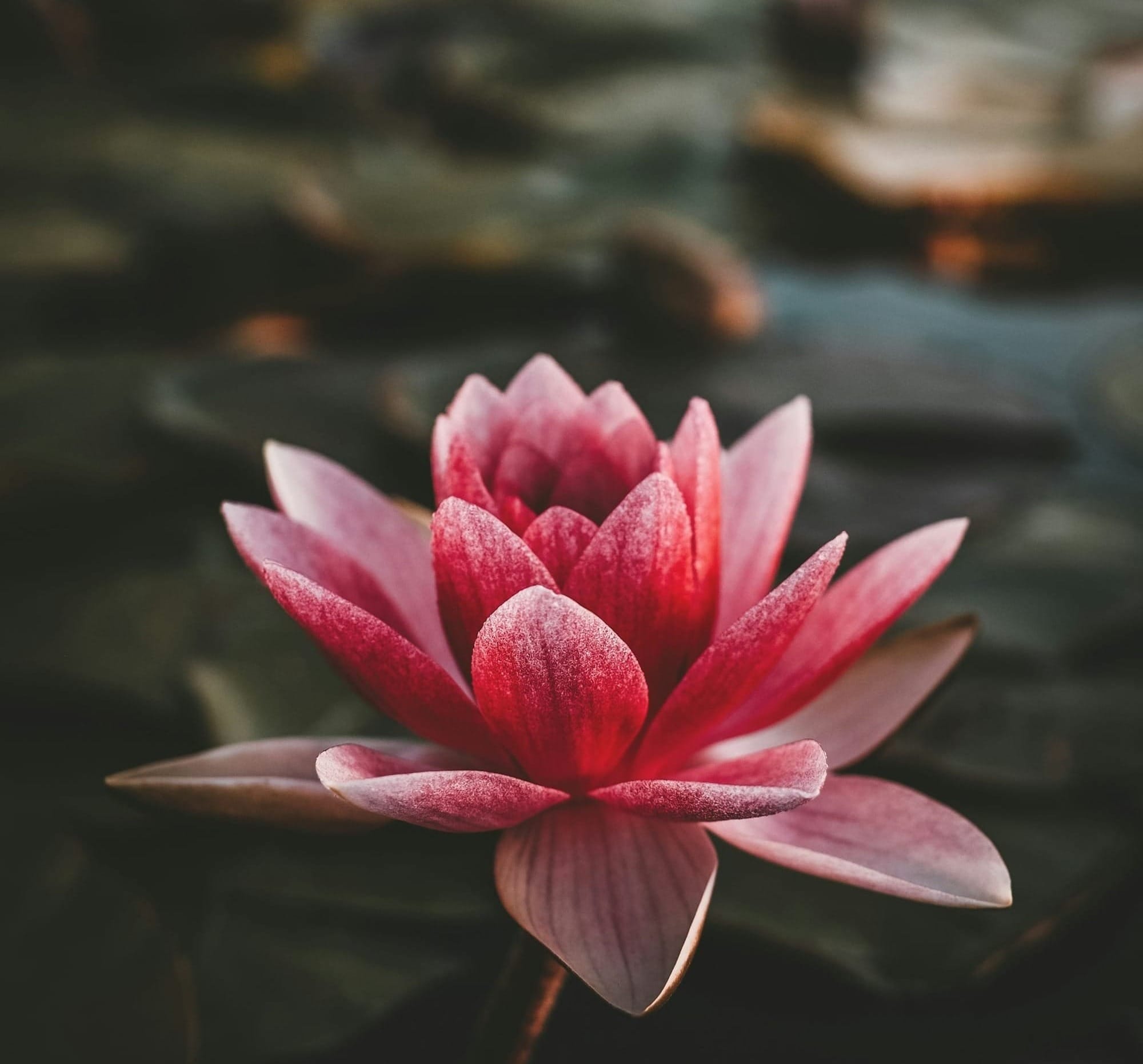 Moksha 沐舍靈魂工作室